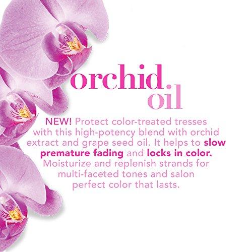 Orchid Oil pH Shampoo in BD