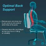 Tynor Back Rest I-46 Lumbar Support Pillow BD