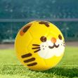 Cartoon Foam Ball 6″ — Soft Stress Relief Ball Bangladesh