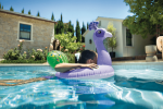 INTEX Inflatable Peacock Swim Training Ring