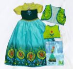 Disney Frozen Princess Anna Costume