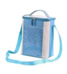 Premium Thermal Insulated Lunch Box Carrier Bag – 7L Capacity
