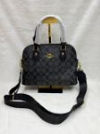 Picture of Coach Signature Monogram Dome Crossbody Replica Handbag