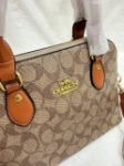 Picture of Coach Signature Monogram Dome Crossbody Replica Handbag