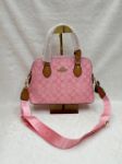 Picture of Coach Signature Monogram Dome Crossbody Replica Handbag