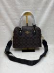 Picture of Coach Signature Monogram Dome Crossbody Replica Handbag