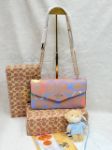 Picture of Coach Signature Compact Crossbody Handbag Replica