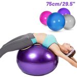 Anti-Burst PVC Fitness Gym Ball | Yoga, Balance & Therapy Exercise Ball